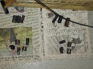 LR - 144002080 - Spring shackle bush remains after the removal
