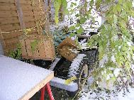 LR - 144002080 - Snowtime
